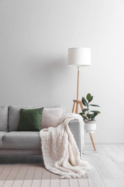Grey sofa, houseplant and standard lamp near light wall