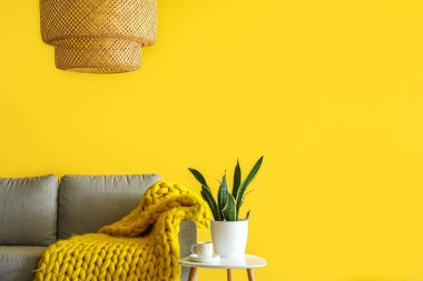 Grey sofa and table with houseplant near yellow wall