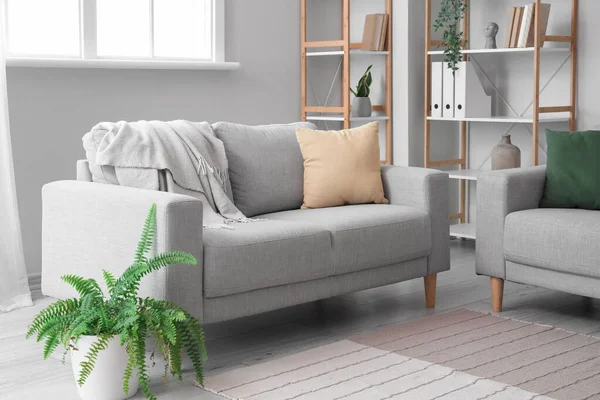 Grey Sofa Cushions Plaid Interior Light Living Room — Foto Stock