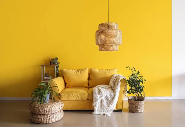 Comfortable Couch Shelving Unit Houseplants Yellow Wall — Stock Photo, Image
