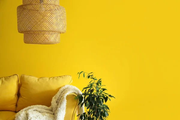 Comfortable Couch Plaid Houseplant Yellow Wall — 스톡 사진