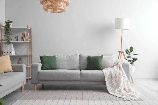 Grey Sofa Cushions Plaid Interior Light Living Room — 스톡 사진