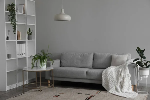 Canapé Gris Table Avec Plantes Intérieur Près Mur Clair — Photo