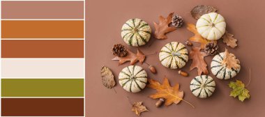 Kahverengi arka planda balkabakları ve düşen yapraklarla güzel bir sonbahar kompozisyonu. Farklı renk desenleri