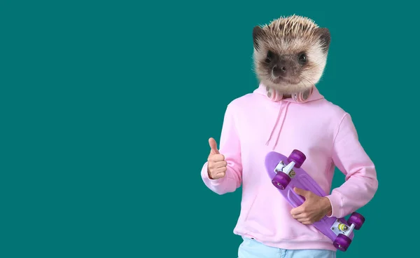 Man Head Hedgehog Skateboard Color Background — Φωτογραφία Αρχείου