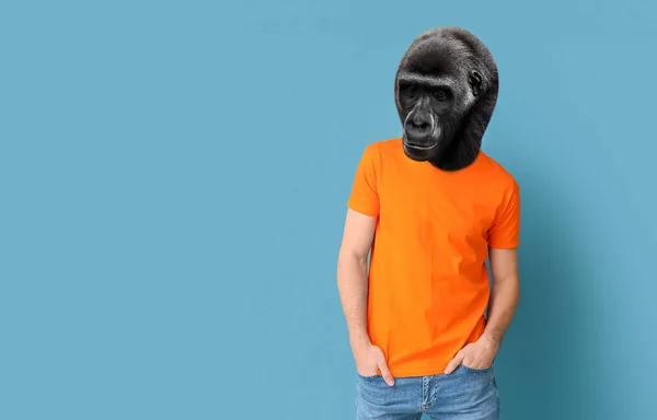 Man Head Gorilla Blue Background — ストック写真