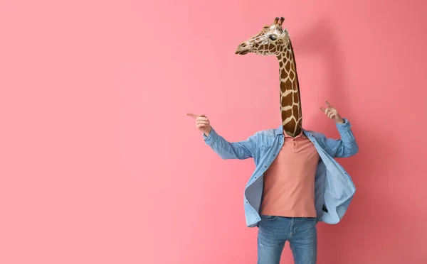 Man Met Hoofd Van Giraffe Roze Achtergrond — Stockfoto