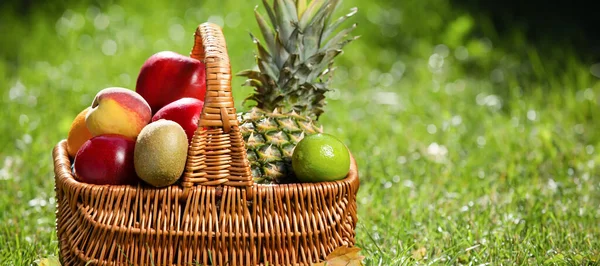 Wicker Basket Fresh Fruits Green Grass Outdoors — Stockfoto