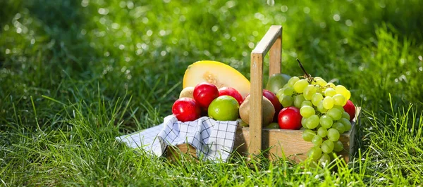 Wooden Basket Fresh Fruits Green Grass Outdoors — Stockfoto