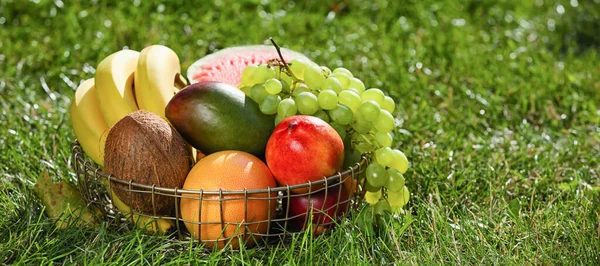 Basket Fresh Fruits Green Grass Outdoors — Stockfoto