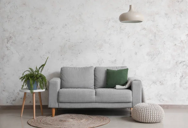 Grey Sofa Table Houseplant Pouf Light Wall — Stock Photo, Image