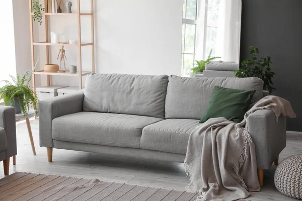 Grey Sofa Cushion Plaid Modern Living Room — Zdjęcie stockowe