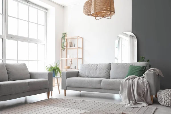 Interior Light Living Room Grey Sofas Shelving Unit Houseplants — Φωτογραφία Αρχείου