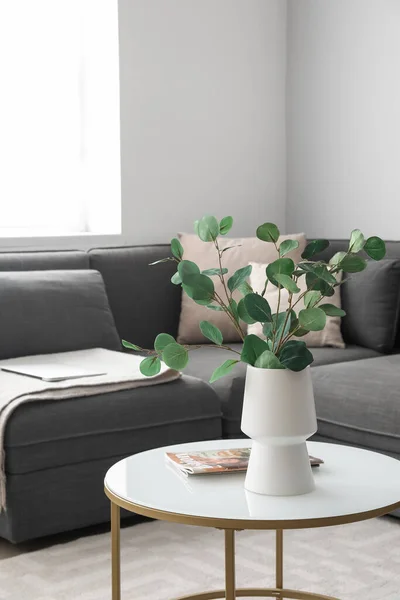 Vase Eucalyptus Branches Magazines Table Living Room — Stock Fotó