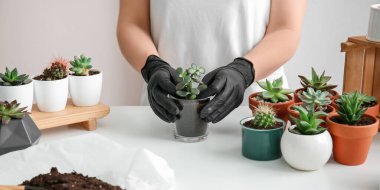 Kadın evde sulu organ nakli yapıyor.