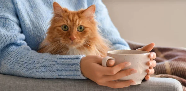 Young Woman Cute Cat Drinking Hot Tea Home — Stock Photo, Image