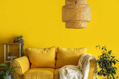 Rahat kanepe, raf ünitesi ve sarı duvarın yanındaki ev bitkileri.