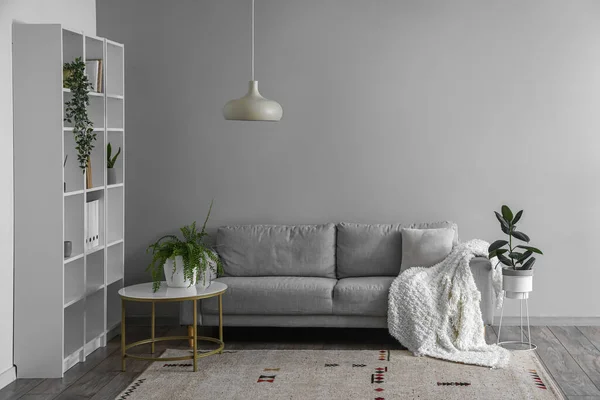 Interior Light Living Room Grey Sofa Table Shelving Unit — Photo