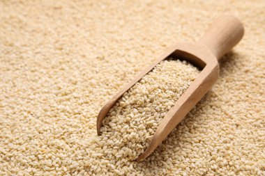 Arkaplan olarak susam tohumları ile kepçe, yakın çekim