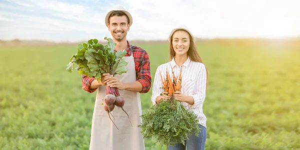 Young Farmers Harvest Field — Stock Photo, Image