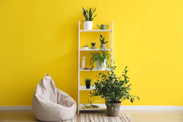Shelving Unit Houseplants Bean Bag Chair Yellow Wall — Φωτογραφία Αρχείου
