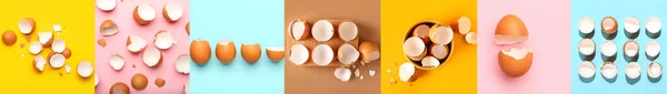 Collage Broken Egg Shells Color Background — Stockfoto