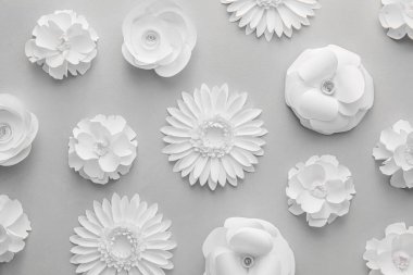 Different paper flowers on grey background