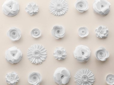 Paper flowers on light background