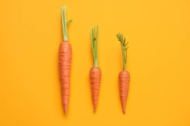 Composition with fresh carrots on color background