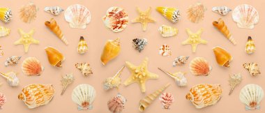 Bej arka planda birçok güzel deniz kabuğu, üst manzara. Tasarım için desen