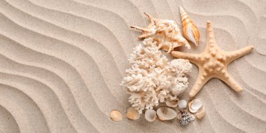 Different sea shells and starfish on beach sand. Banner for design