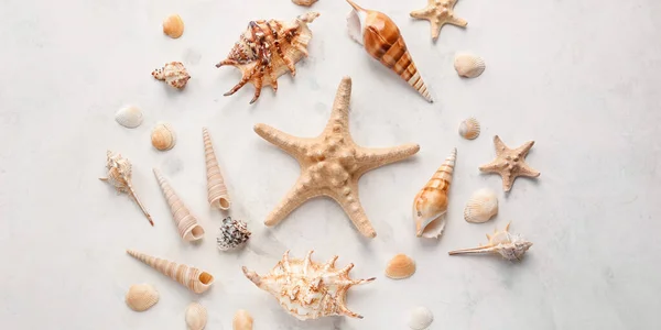 Different Sea Shells Starfishes Light Background — Stock Photo, Image