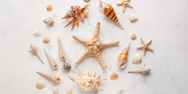 Olika Snäckskal Med Starfishes Ljus Bakgrund — Stockfoto