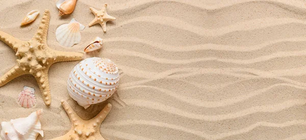 Different Sea Shells Starfish Beach Sand Banner Design — стоковое фото