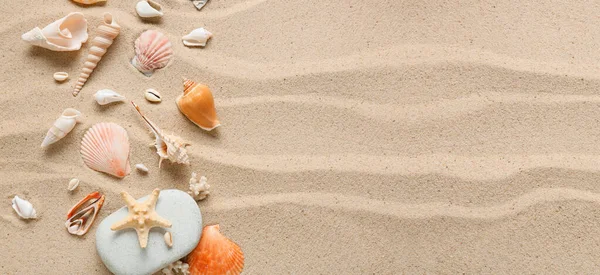 Different Sea Shells Beach Sand Banner Design — Stockfoto