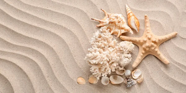 Different Sea Shells Starfish Beach Sand Banner Design — Zdjęcie stockowe