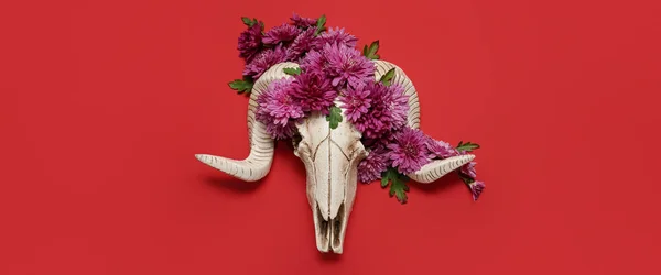 Skull Sheep Flowers Red Background — Stockfoto