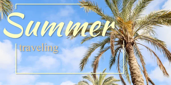 Green Palms Tropical Resort Sunny Day Text Summer Traveling —  Fotos de Stock