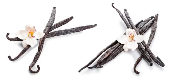 Beyaz Zemin Üzerine Vanilya Çubukları — Stok fotoğraf