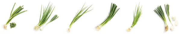 Bunches Green Onion White Background — Foto Stock
