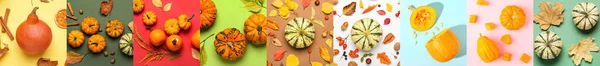 Collage Beautiful Autumn Compositions Pumpkins Autumn Leaves Color Background Top — Fotografia de Stock