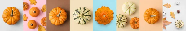 Collage Fresh Pumpkins Autumn Leaves Color Background Top View — Zdjęcie stockowe