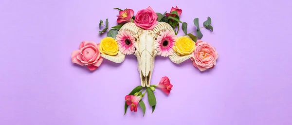 Skull Sheep Flowers Lilac Background — Stock Photo, Image
