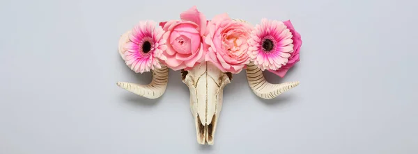 Skull Sheep Flowers Light Background —  Fotos de Stock