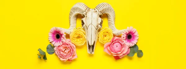 Skull Sheep Flowers Yellow Background — Stockfoto