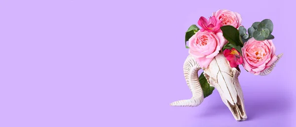 Skull Sheep Flowers Lilac Background Space Text — Stock fotografie