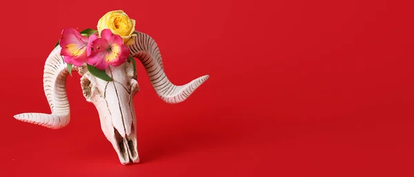 Lebka Ovcí Květinami Červeném Pozadí Prostorem Pro Text — Stock fotografie