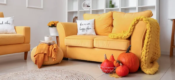 Interior Modern Living Room Comfortable Yellow Sofa Pumpkins — Stock Photo, Image