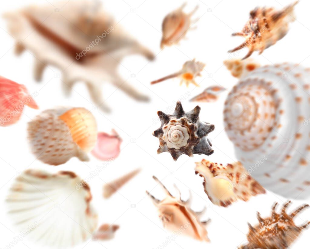 Many falling sea shells on white background