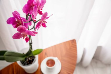 Masanın üzerinde bir fincan kahveyle güzel bir orkide çiçeğinin yakın görüntüsü